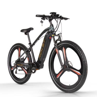 China Standard RICH BIT Electric Bicycle 27.5