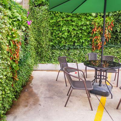 Κίνα Simply Artificial Indoor Outdoor Wall Decoration Flower Wall Background Plant Plant Grass Artificial Grass προς πώληση