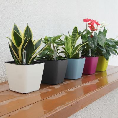 China Creative Square Plastic Smart Self Watering Flower Pots Durable Indoor Self Watering Self Watering Flower Pots Self Planter Flower Pots for sale