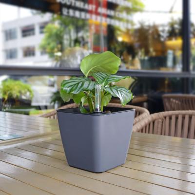 China Creative Self Watering Square Plastic Self Watering Flower Pot Desktop Flower Pot Self Watering Self Planter New Small for sale