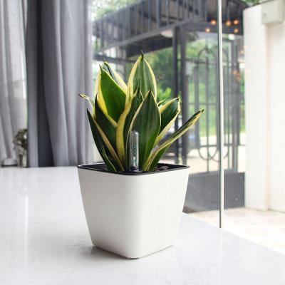 China Self Planter Home Watering Gardening Small Plastic Flower Pots Fit Vientiane Pots Home Office Indoor Plastic Flower Pots for sale