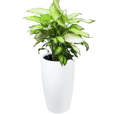 China Simply Clever Large Hydroponic Flowerpot Stackable Plant Pot for sale