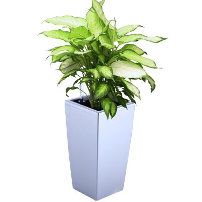 Chine Europe plant pot with original liner self-watering planter / sub-irrigation system, plastic potted plant, crafted plastic potted plant à vendre