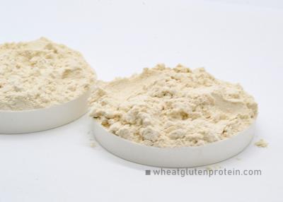 China Food Grade Vital Wheat Protein , Strong Agents In Food For Baking Foods for sale