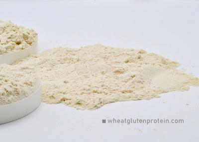 China Food Nutrients 8002-80-0 75.0% Wheat Gluten Protein for sale