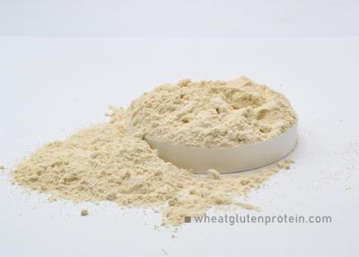 China Pasta Production Use Wheat Gluten Powder Strength Additives 24 Months Shelf Life for sale