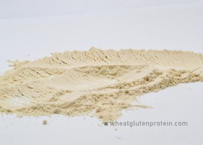 China Feed Additive Cas No 8002-80-0 Wheat Gluten Protein for sale