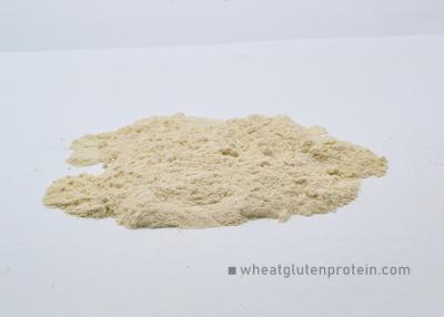 China Organic Vital Wheat Gluten Wheat Flour's Ingredient Non GMO Wheat Protein Powder for sale