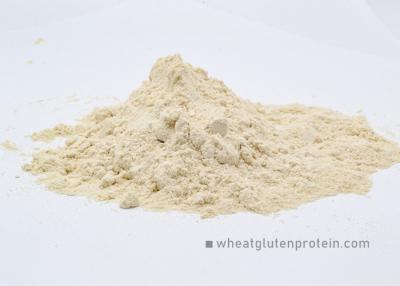 Cina Non OGM Proteine di glutine di grano in polvere, proteine di glutine di grano purificate in vendita