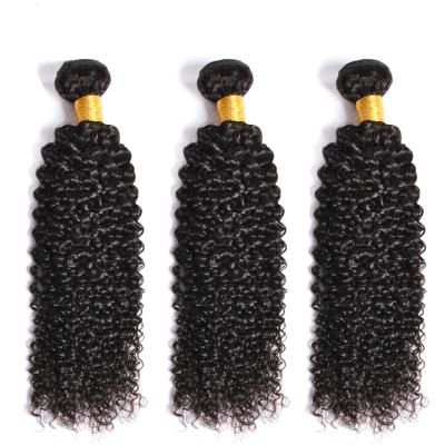 China Nonprocessed Women's Virgin Hair Brazilian Kinky Curly Hair Wholesale Factory Distributor Overnight Shipping Bundles Drop Shipping for sale