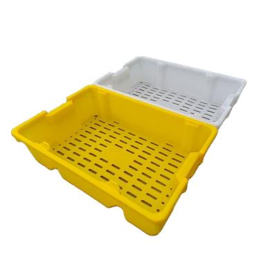 China New Hot Product Food Mesh Box Cold Chain Transport Turnover Box for sale