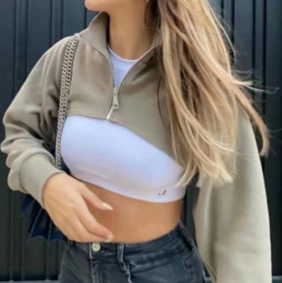 China Sustainable Winter Wear Hoodies Crop Long Sleeve Crop Top Hoodie Set Women Zip Up Cheap Women Pullover Hoodie For Women for sale