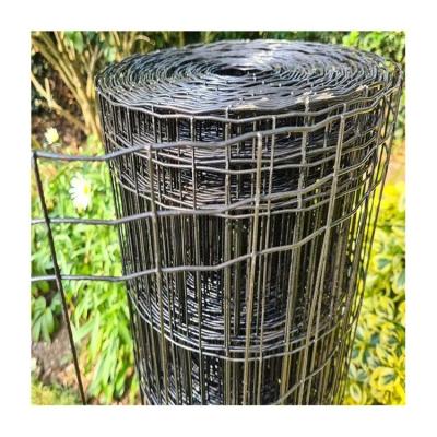 China Factory Direct Sales Easily Assembled Metal Curved Wire Roll Welding Mesh Tree Guards for sale