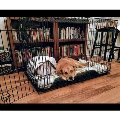 China Breathable Wholesale High Quality Multiple Sizes Folding Wire Dog Cage for sale