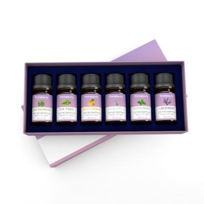 China Custom Packing Private Label Skin Revitalizer Box Fragrance Tea Tree Lavender Lavender Diffuser Natural Organic Gift Set for sale