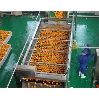 China Juice Line High Quality Whole Fruit Easily Cleaned Juice Processing Line Project for sale