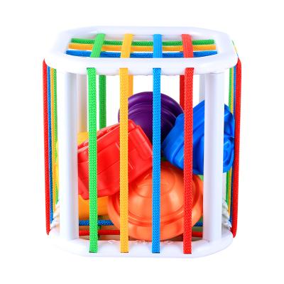 China Educational Children Toys Rainbow Cecele Early Education Amazon Hand Color Knowledge Border Sensory Cube Toy for sale