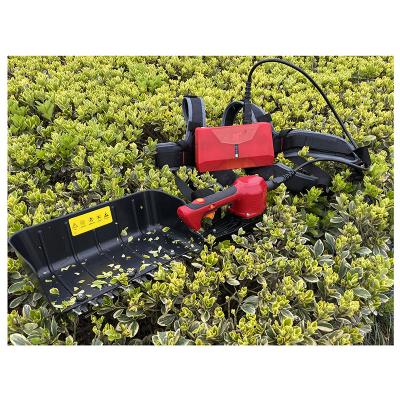 China CE Nplus tea hedge trimmer mini professional tea plucker harvester tea picking machine without lithium battery J30C for sale