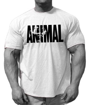 China Custom Made GYM T-shirt Anti-wrinkle Good Quality Cotton Muscle T-shirt for sale