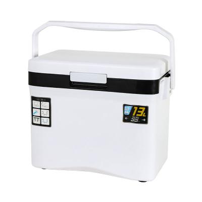 China 202113W High Quality Plastic Outdoor Portable Picnic Camping BBQ 13L Cold Chain Cooler Box Medical Vaccine Fish for sale