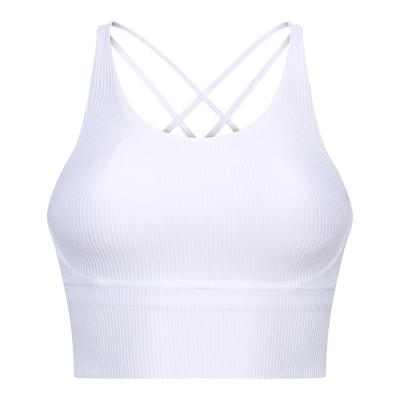 China Sexy QUICK DRY Fitness Girls Gym Yoga Running Bra Tops Custom Logo Crane Exercise Workout Women Sports Bra for sale