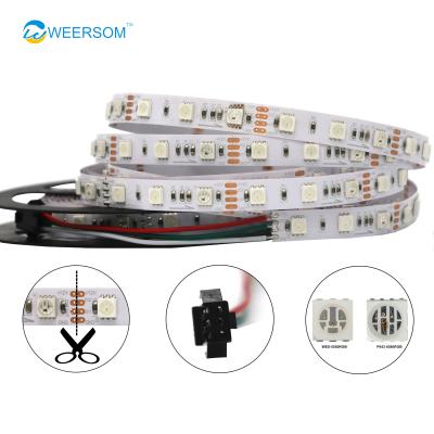 China Theme park magic color led strip digital accessible led strip lighting 12V 24V ws2811 ws2812 ws2813 for sale