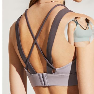 China Antibacterial Women's Medium Support Sports Bra Top Cups Bra Removable Crop Wireless Back Strappy Yoga for sale