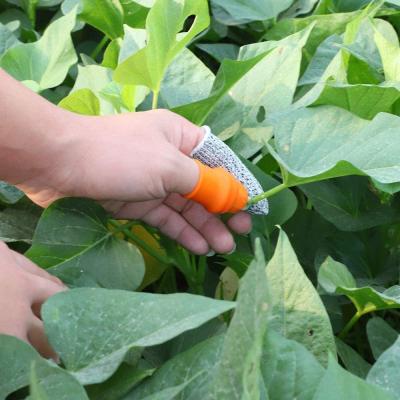 China Vegetable Plant Fruit Picking Tools Vegetables Plant Pick Balance Tools Garden Thumb Knife for sale