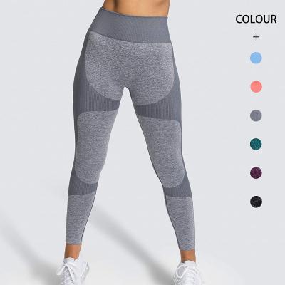 China Women Activewear Breathable Butt Lift Yoga Pants Gym Fitness High Waist Seamless Gaiters for sale