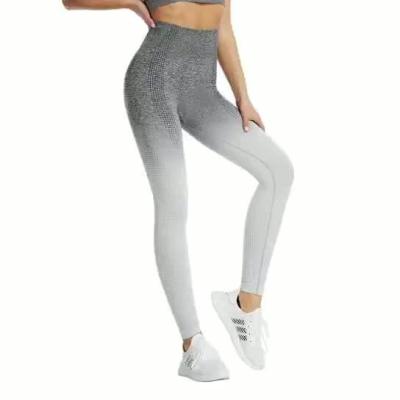 China Wholesale Breathable Customize Logo Seamless Solid Tights Women High Waist Sustainable Yoga Pants for sale