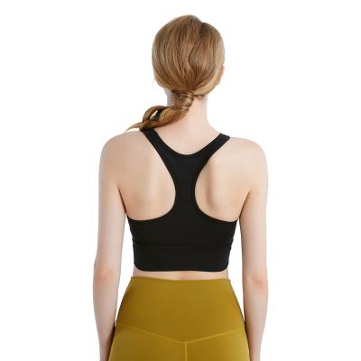 China Breathable Classic Black Gym Clothing Sports Bra Extra Support With Padding for sale