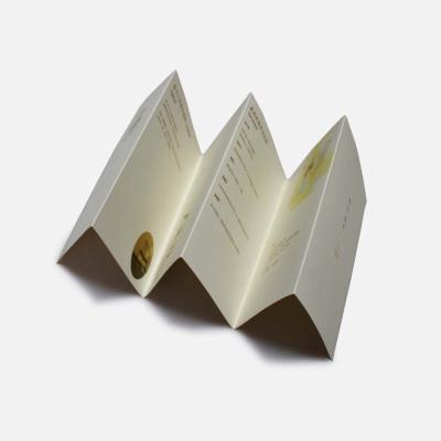 China Hot Selling Custom Folded Garment Zuoluo Instruction Manual Brochure / Booklet / Flyer for sale