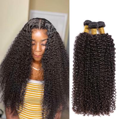 China Raw Unprocessed Kinky Curly Braids Extension Curly Hair Loop Hair Extension For Women Men Curly Braids Hair Extensions for sale