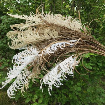 China Custom Ornamental Home Decoration Weddings Party Wedding Party Artificial Flowers Arrangements Simulated Reed Natural Faux Artificial Pampas Grass for sale