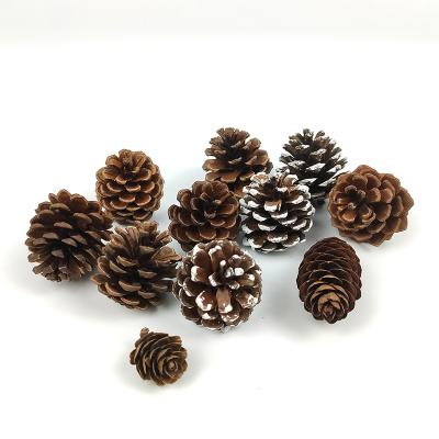 China Best Sale Pure Natural Christmas Pine Cones White Tilted Hanging Ornaments Ornament Spray Accessories Best For Christmas Decoration Tree for sale