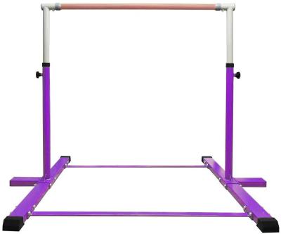 China Home Exercise Child Safety Gym Barbell Expanding Bar for sale