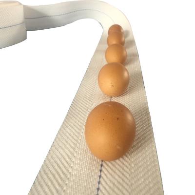 China High Strength Polyester Conveyor Belt Or Egg Farms Conveyor Belt for sale