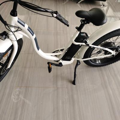 China Chinese standard 24inch tire standard cheap fat electric bicycle factory lithium battery dirt bike mountain outdoor snow ebike for sale