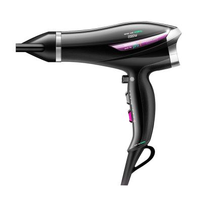 China Various Ionic Factory Manufacture High Quality Professional Hooded Salon No Noise Hair Dryer for sale