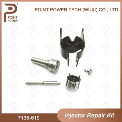 Cina 7135-619 Kit di riparazione degli iniettori di Delphi Per gli iniettori di Delphi Sangyong R04501d Kit di valvole a ugello in vendita