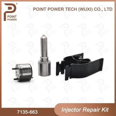 China 7135-663 Delphi Injector Repair Kit Common Rail Diesel Injector Parts Nozzle-Valve Kit for sale