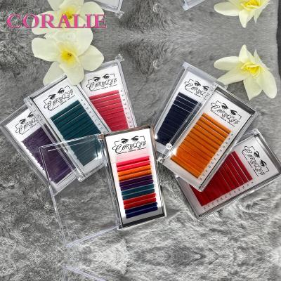 China New Fashion Cashmere Wick Fan Trays Easy Colorful Eyelash Fan Easy Blooming Premium Wick Fan Extension Wick Extension Trays for sale