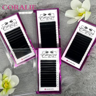 China Fan Easy Wick Volume Fluffy Black Lashes Quickly Fanning Volume Lashes And Whip Individual Eyelash Extension Lashes Extension for sale