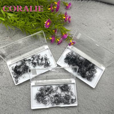 China High Quality Loose Lashes Fan Premade Lashes Private Label Customized Handmade Promade Fans Loose Lashes for sale