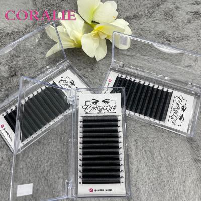 China Russian Wholesale Lash Extensions Long Clover 4D Lashes Extension 4D Natural Group Extension Lash Extensions for sale