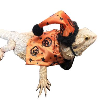 China Sustainable Halloween Cosplay Pet Cape  Lizard  Costume Halloween Pet Costumes for cosplay Pet Accessories for sale