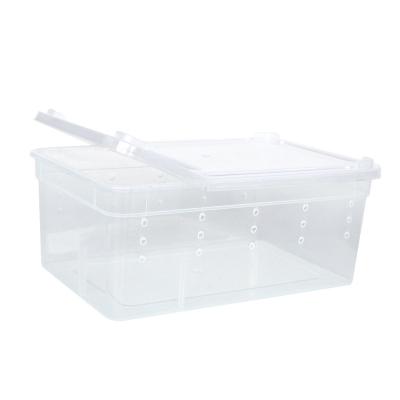 China Sustainable Reptile Box for Snake Turtle Breeding Box Case Feeding Hatching Container for sale