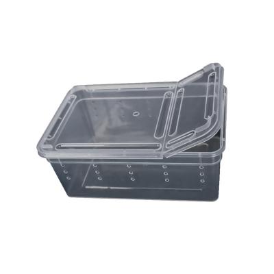 China Sustainable Professional Manufacturer Plastic Feeding Box Plastic Cage For Reptile for sale