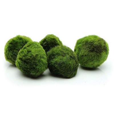 China Sustainable Moss Balls Fish Tank Aquarium Decorations Plants for Aquatic Pets for sale