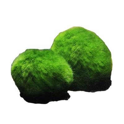 China Sustainable Hot Selling New Arrival Moss Balls Fish Tank Aquarium Decorations For Aquatic Pet With Reasonable Price for sale